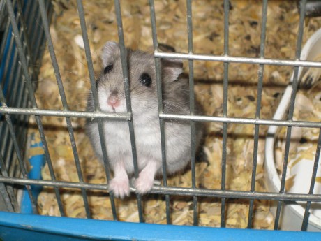 Staré Splavy 07 2 část 011.jpg